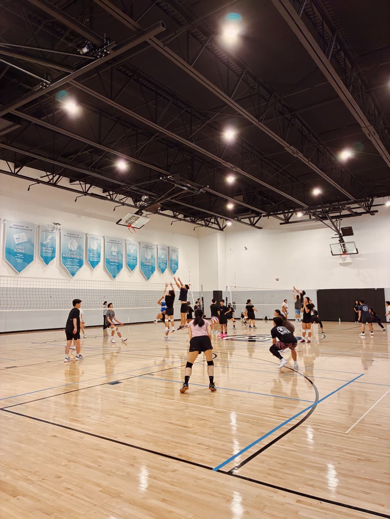 Volleyball