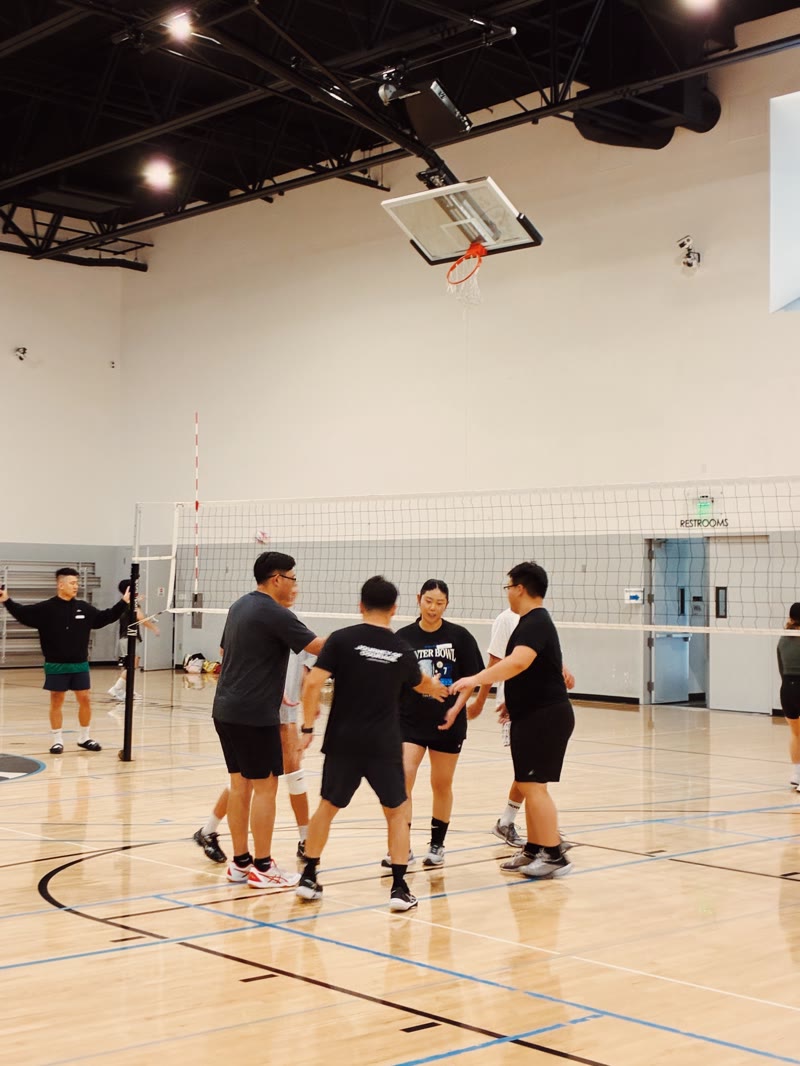 Volleyball